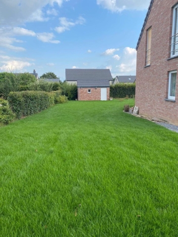 Création de pelouse à Liège aménagements extérieurs