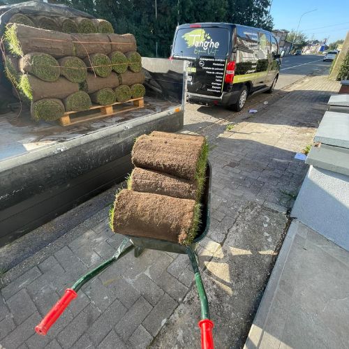 Création de pelouse en rouleaux à Liège