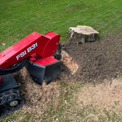 Entretiens des aménagements extérieurs par Tanghe Espace Vert