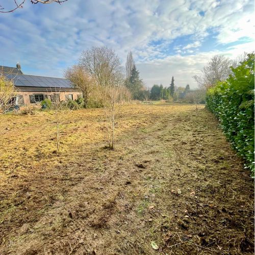 Entretiens des extérieurs par Tanghe Espace Vert