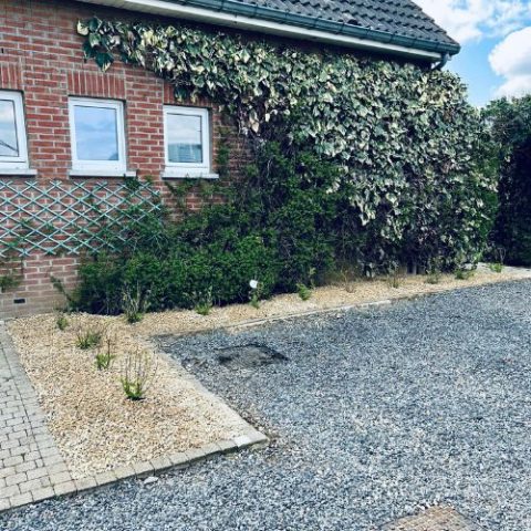 Plantations à Liège par Tanghe Espace Vert